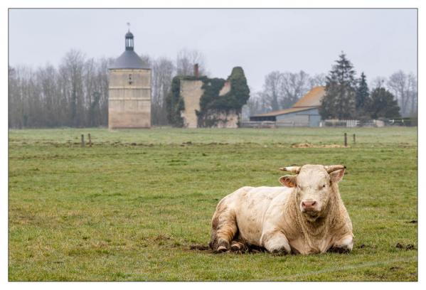 Nièvre