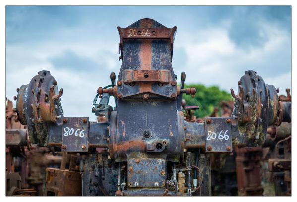Robots