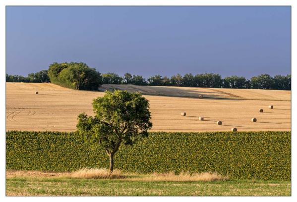 Bourgogne