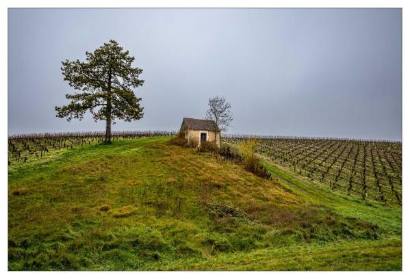 Bourgogne