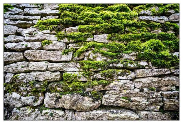 Noyers