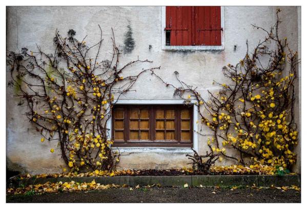 Noyers