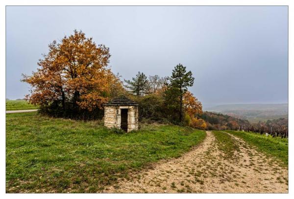 Bourgogne