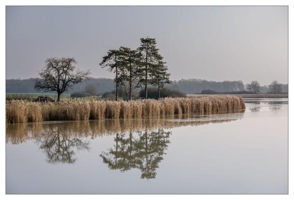 Etang de Sudais