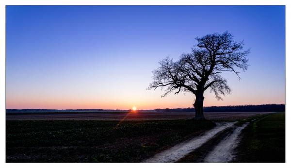 Loir et Cher