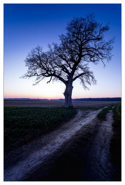Loir et Cher