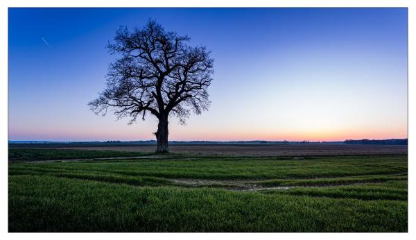 Loir et Cher