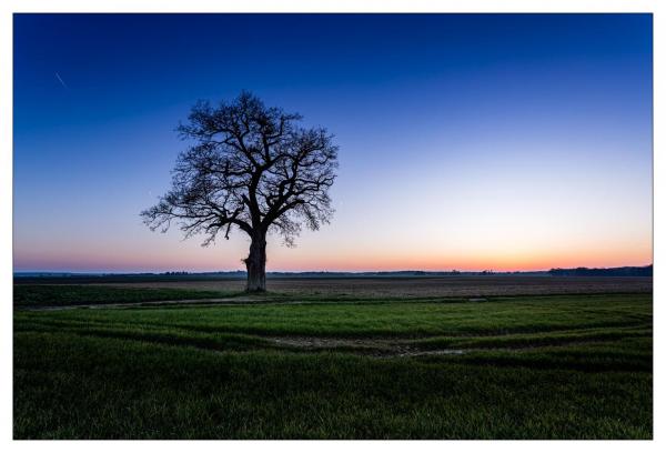 Loir et Cher