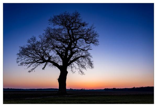 Loir et Cher