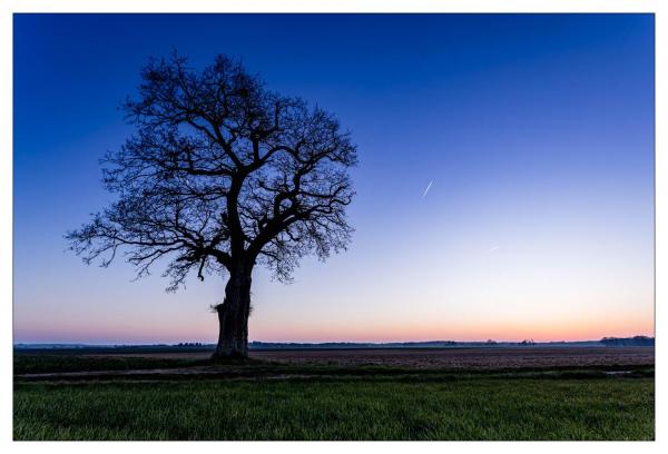 Loir et Cher