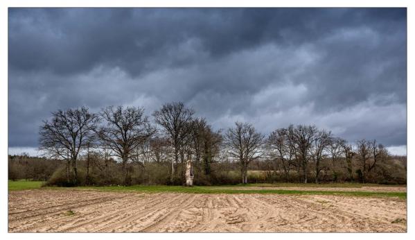 Sologne