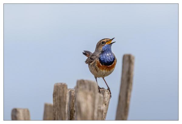 Vendée