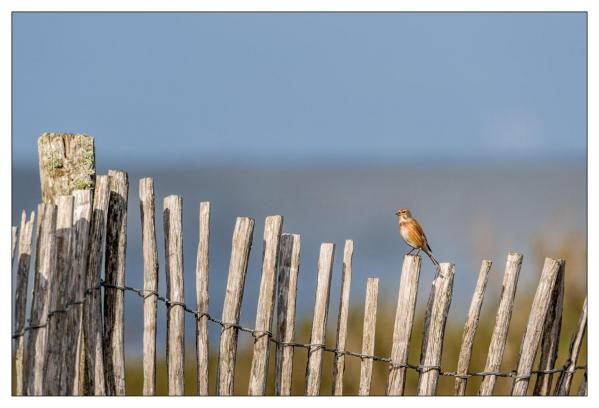 Vendée