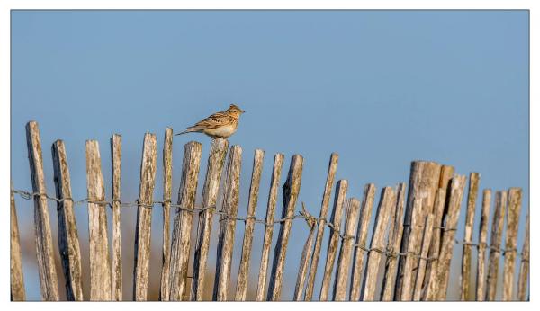 Vendée