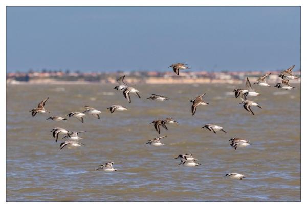 Vendée