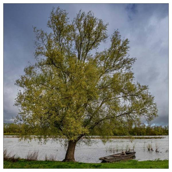 Chaumont sur Loire
