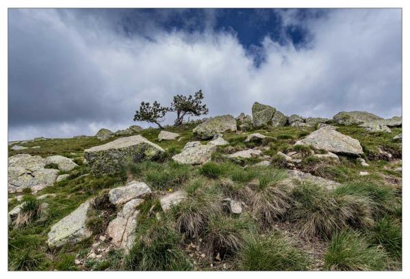 Lozère