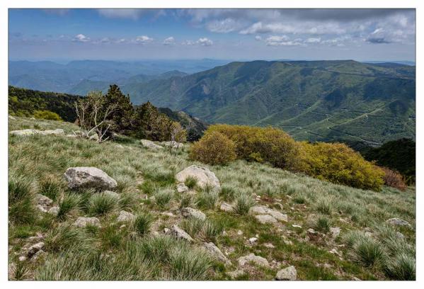 Lozère