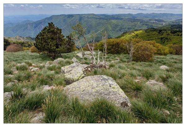 Lozère