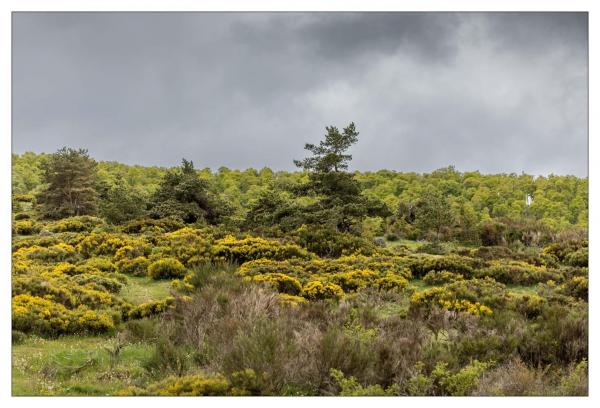 Lozere