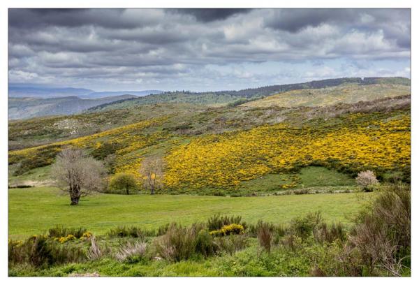 Lozere