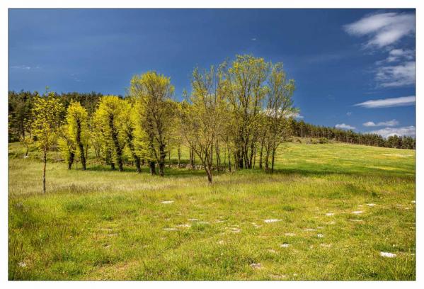 Lozère