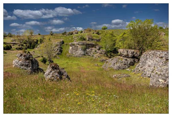 Lozère