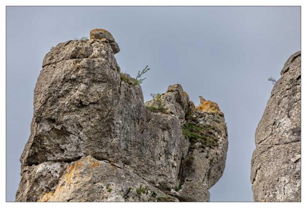 Lozère