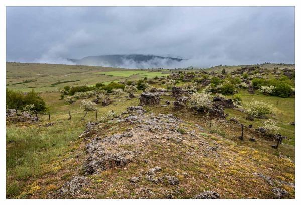 Causse Méjean