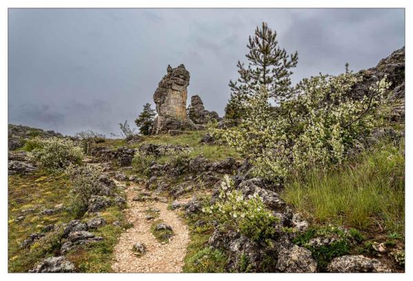 Causse Méjean