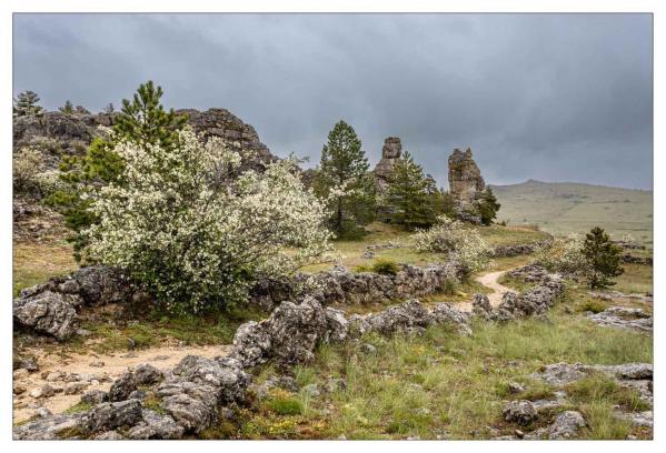 Causse Méjean