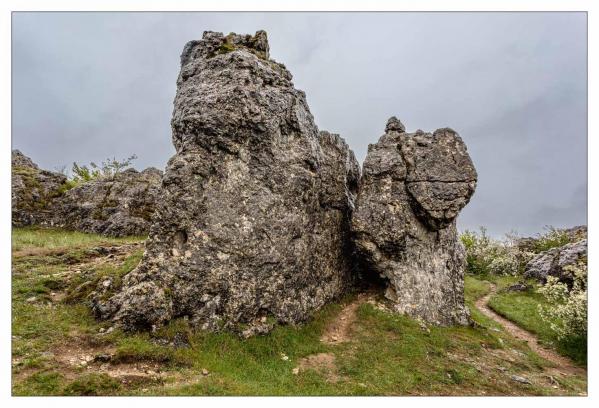Causse Méjean