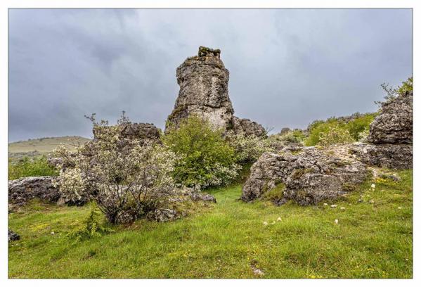 Causse Méjean