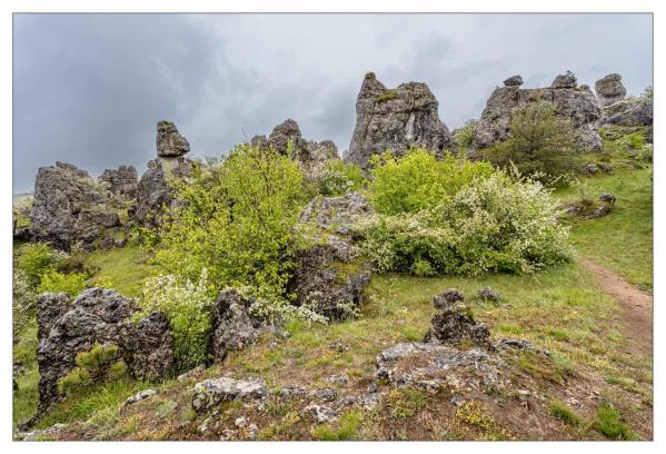 Causse Méjean