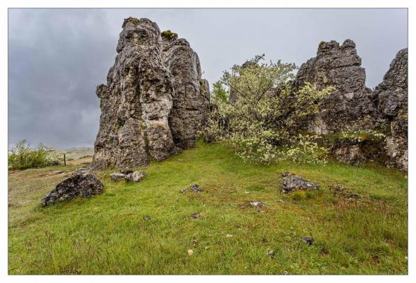 Causse Méjean