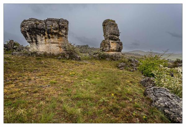 Causse Méjean