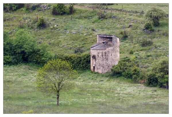 Causse Méjean
