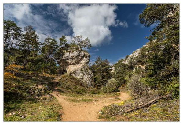 Causse Méjean