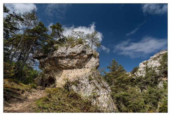 Causse Méjean