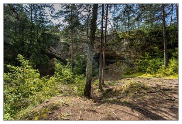 Causse Méjean