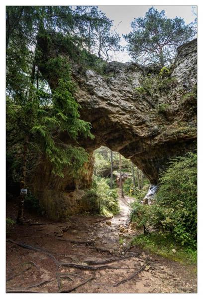 Causse Méjean