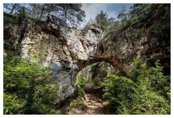 Causse Méjean