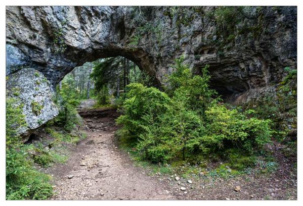 Causse Méjean