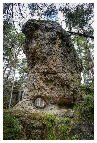 Causse Méjean