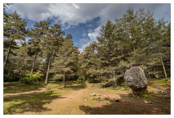 Causse Méjean