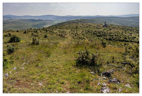 Causse Méjean