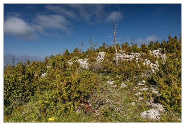 Causse Méjean