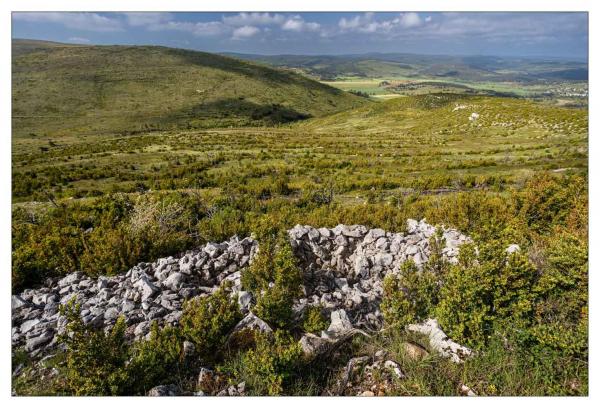 Causse Méjean