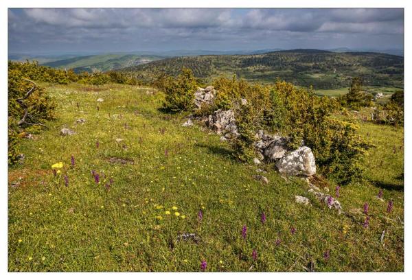 Causse Méjean