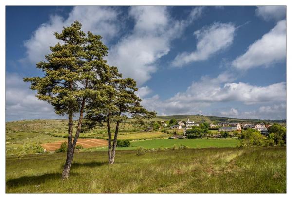 Causse Méjean